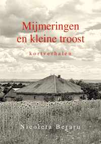 Mijmeringen en kleine troost