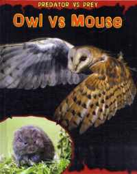 Owl vs Mouse