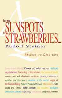From Sunspots to Strawberries