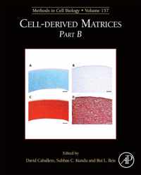 Cell-Derived Matrices Part B157