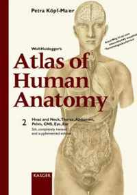 Wolf-Heidegger'S Atlas Of Human Anatomy