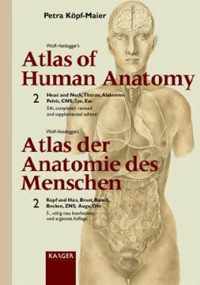 Wolf-Heidegger's Atlas of Human Anatomy / Wolf-Heideggers Atlas der Anatomie des Menschen, Vol. 2: Latin nomenclature Volume 2