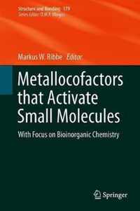 Metallocofactors that Activate Small Molecules