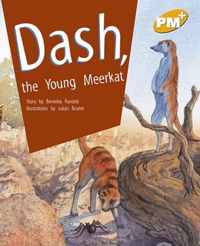 Dash, the Young Meerkat