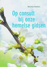 Op consult bij onze hemelse gidsen