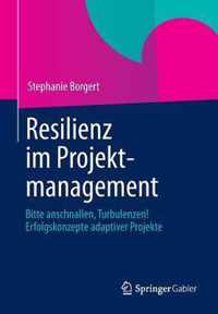 Resilienz Im Projektmanagement