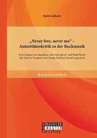 "Never free, never me" - Autoritätenkritik in der Rockmusik: Eine Analyse von Metallicas "The Unforgiven" und Pink Floyds "The Wall" im Vergleich mit Charles Dickens' "David Copperfield"