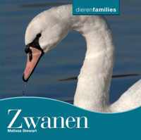 Dierenfamilies  -   Zwanen