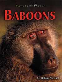 Baboons