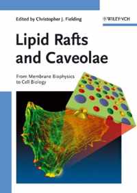 Lipid Rafts and Caveolae: From Membrane Biophysics to Cell Biology