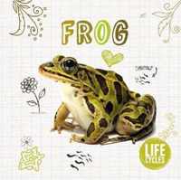 Life Cycle of a Frog