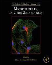 Microtubules, in vitro