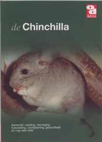 De chinchilla