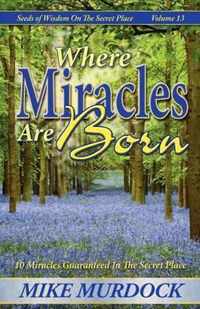 Where Miracles Are Born (Seeds Of Wisdom on The Secret Place, Volume 13)
