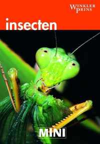 Mini Wp Insecten