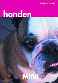 Mini Wp Honden