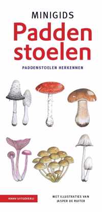 Minigids  -   Minigids Paddenstoelen set