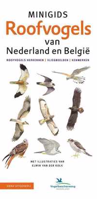 Minigids  -   Set Minigids Roofvogels van Nederland en Belgie