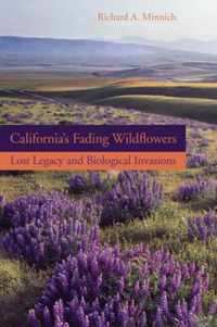 California's Fading Wildflowers