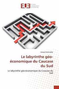 Le labyrinthe geo-economique du Caucase du Sud