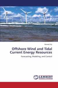 Offshore Wind and Tidal Current Energy Resources