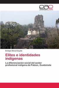 Elites e identidades indigenas