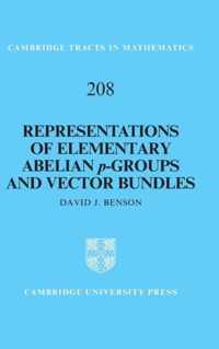 Representations of Elementary Abelian P -groups and Vector Bundles