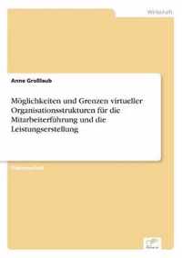 Moeglichkeiten und Grenzen virtueller Organisationsstrukturen fur die Mitarbeiterfuhrung und die Leistungserstellung