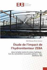 Etude de l'impact de l'hydroretenteur ZEBA