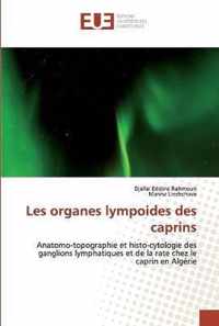 Les organes lympoides des caprins