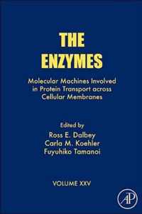 The Enzymes