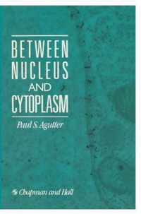 Between Nucleus and Cytoplasm