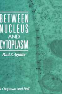 Between Nucleus and Cytoplasm