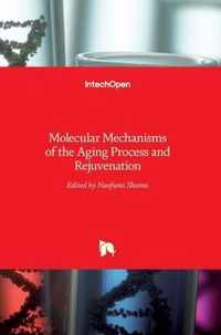 Molecular Mechanisms of the Aging Process and Rejuvenation