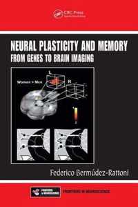 Neural Plasticity and Memory