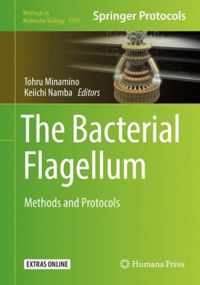 The Bacterial Flagellum