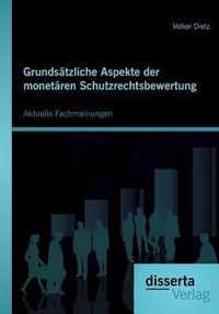 Grundsatzliche Aspekte der monetaren Schutzrechtsbewertung