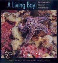 A Living Bay - The Underwater World of Monterey Bay