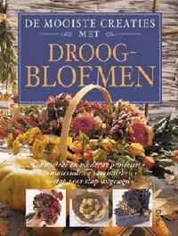 Mooiste Creaties Met Droogbloemen