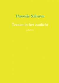 Tranen in het zonlicht - Hanneke Schieven - Paperback (9789402129052)
