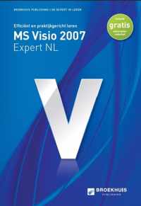 MS VISIO VOOR EXPERT