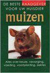 Muizen