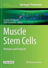 Muscle Stem Cells