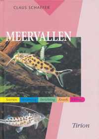 Meervallen