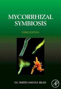 Mycorrhizal Symbiosis