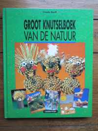 Groot knutselboek van de natuur