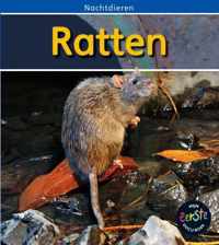 Nachtdieren  -   Ratten