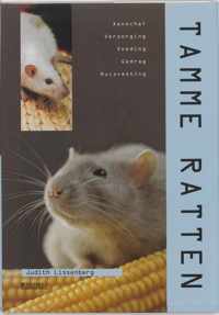 Tamme ratten