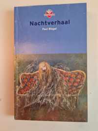 Nachtverhaal