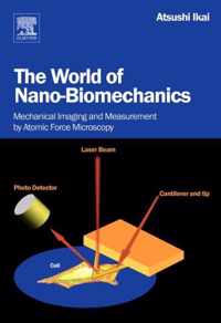 The World of Nano-Biomechanics